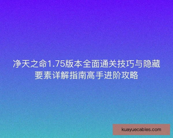净天之命1.75版本全面通关技巧与隐藏要素详解指南高手进阶攻略