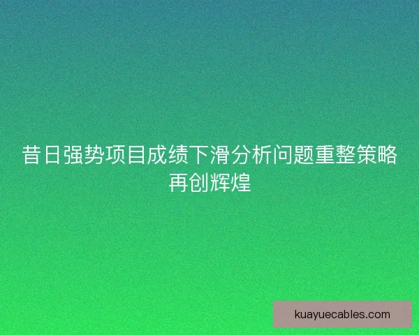 昔日强势项目成绩下滑分析问题重整策略再创辉煌